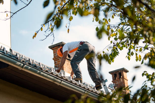 Quick and Trustworthy Emergency Roof Repair Services in Geneva, AL